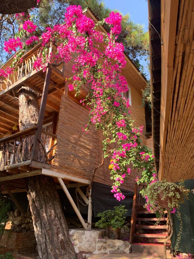 Large Bungalow With Sea View In Kabak Bay, Oeluedeniz フェティエ エクステリア 写真
