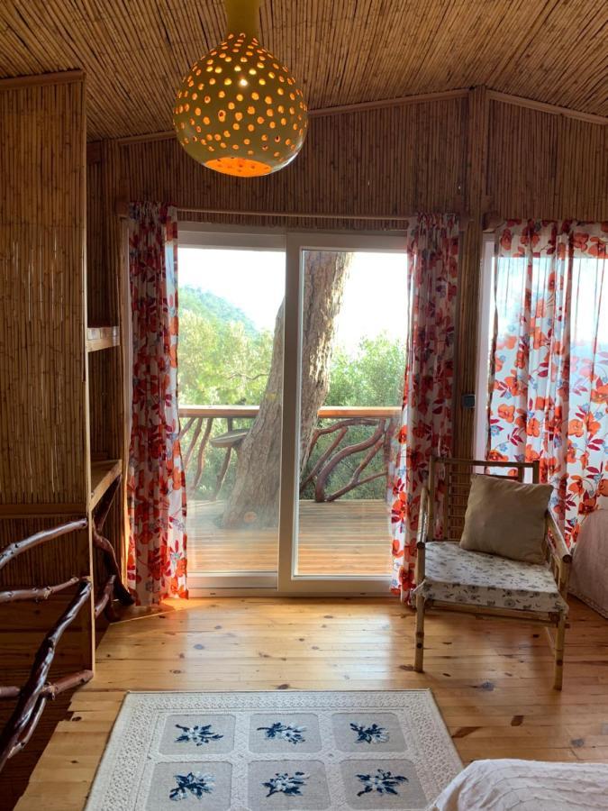 Large Bungalow With Sea View In Kabak Bay, Oeluedeniz フェティエ エクステリア 写真