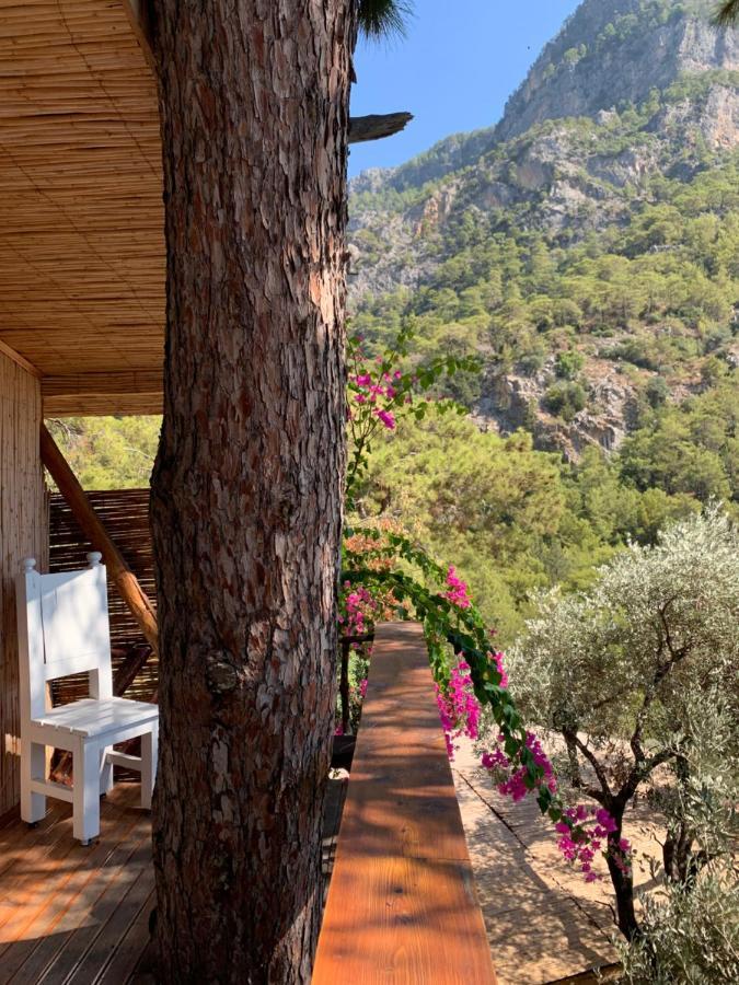 Large Bungalow With Sea View In Kabak Bay, Oeluedeniz フェティエ エクステリア 写真